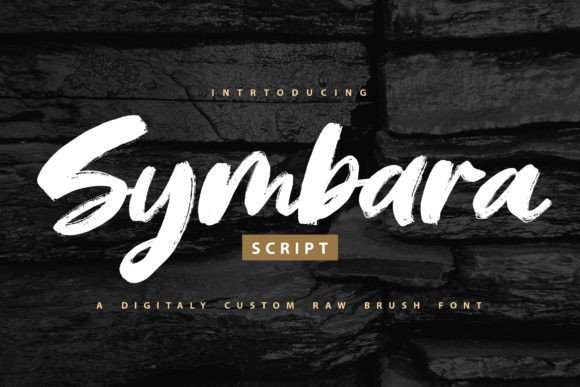 Discover the Power of Symbara