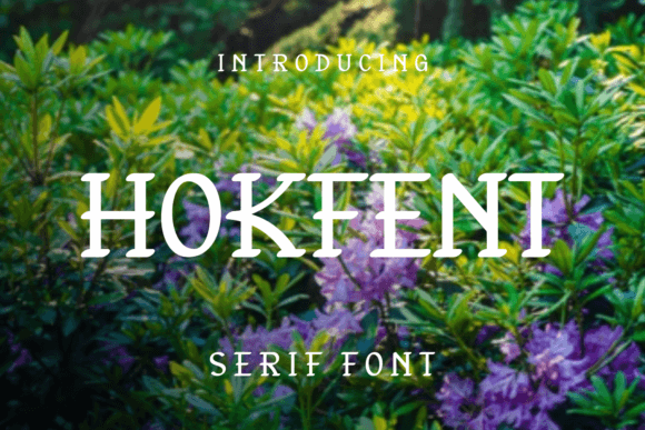 Hokfent: A Playful Serif Font That Elevates Your Design